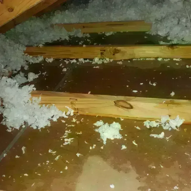 Best Attic Water Damage Service in Fanwood, NJ